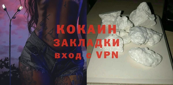 PSILOCYBIN Кукмор