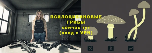 марки lsd Краснослободск