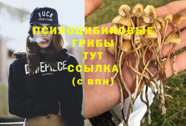 PSILOCYBIN Кукмор