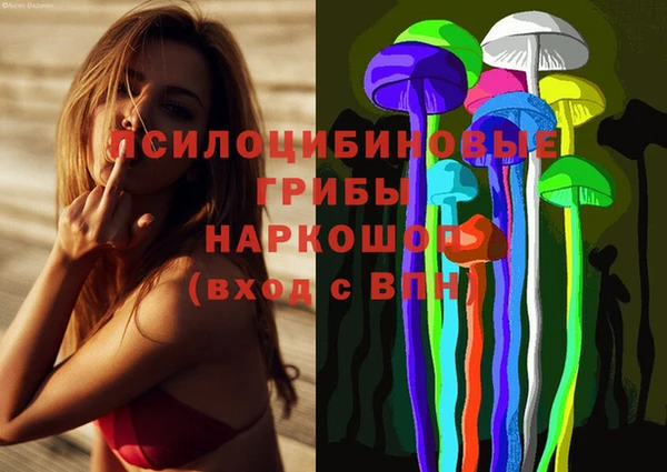 марки lsd Краснослободск