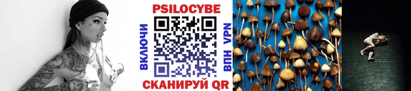 Купить  Вышний Волочёк  Псилоцибиновые грибы Psilocybine cubensis 